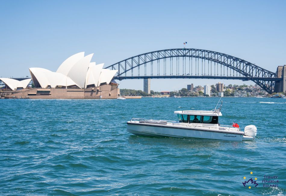 Bronte Cruising at Sydney Harbour